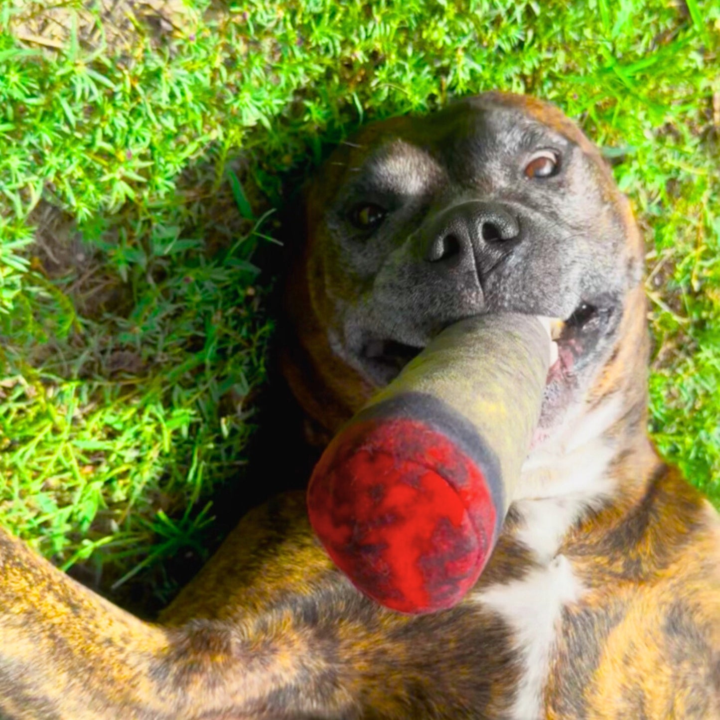 PuffPlush™ Cigar Pet Plush